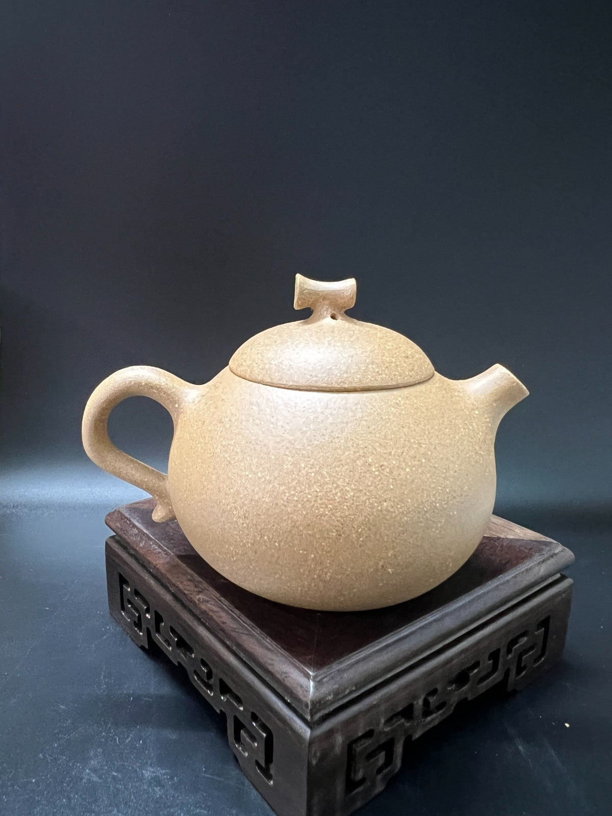 150cc chinese Yixing Handmade Zisha teapot Duan Clay Eggplant Hu Gongfu Tea Pot