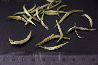 China Silver Needle White Loose leaf Tea,China Fujian Bai Hao Yin Zhen tee,1 kg