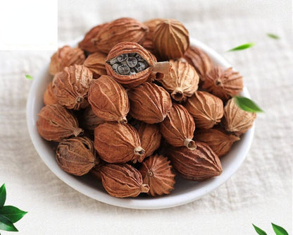 Xiang Sha Ren/香砂仁/卤/艳山姜/土砂仁Cocklebur-like Amomum Fruit/Spice/Food Spices 250g
