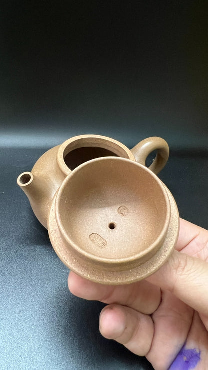 250cc chinese Yixing Handmade Zisha teapot Duan Clay RongTian Gongfu Hu Tea Pot