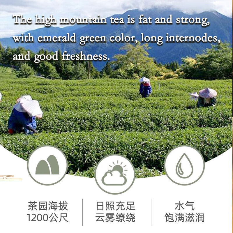 Taiwan Oolong Tea green organic loose leaf tea Alishan Milk Jin Xuan Oolong Tea