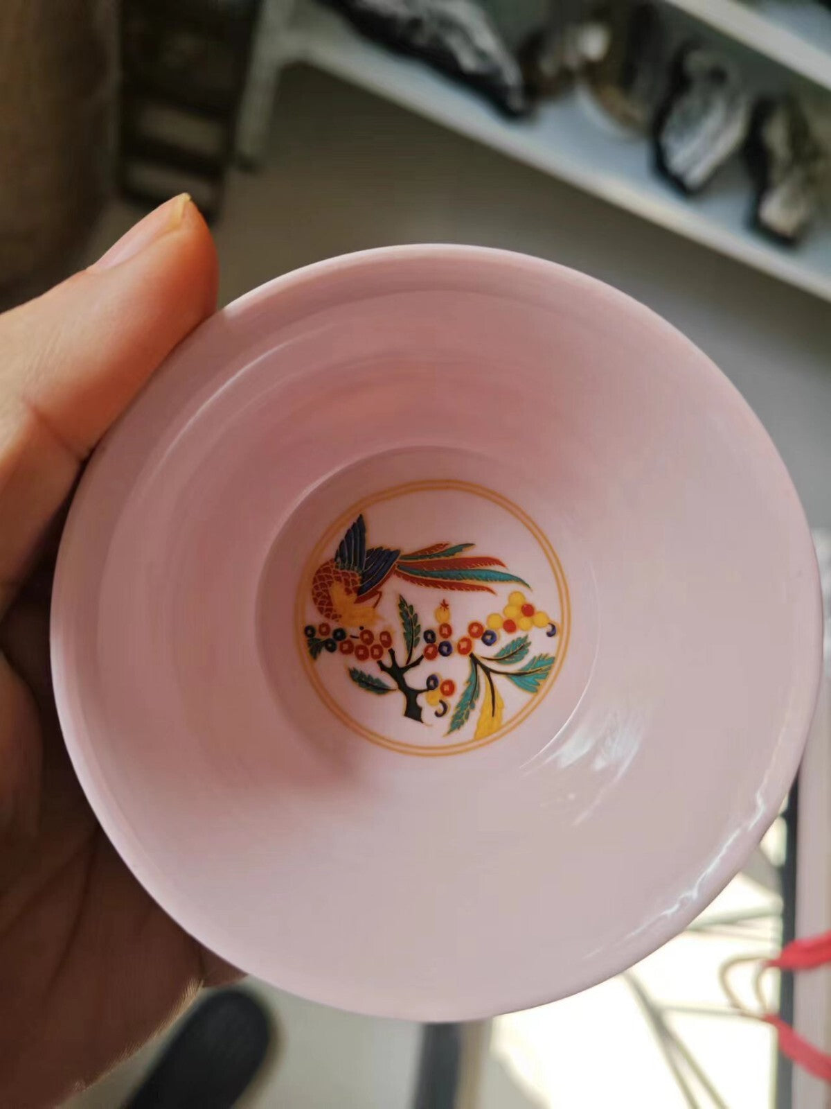 chinese jingdezhen porcelain doucai tea cup :phoenix
