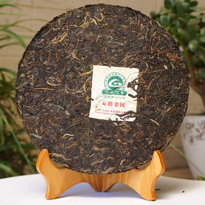 Xiaguan 2011 Shen Puer Cake Bulang Mt.Old Tree Pu-erh Since 1902 Puercha 357g