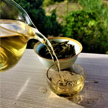 Yunnan Qizi Cake High Quality Green Tea 357g Xigui Ancient Tree Pu'er Tea