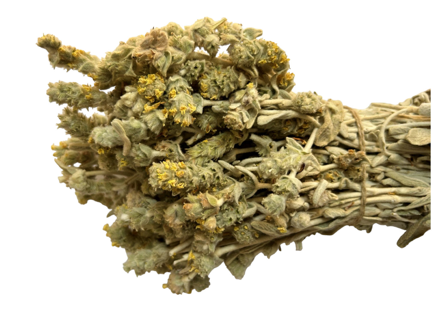 Greek Mountain Tea Malotira Sideritis Syriaca 220 grams - Harvest June 2023