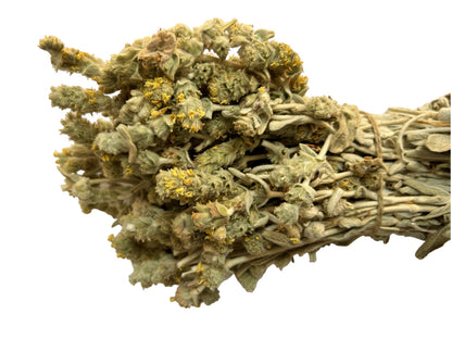 Greek Mountain Tea Malotira Sideritis Syriaca 220 grams - Harvest June 2023