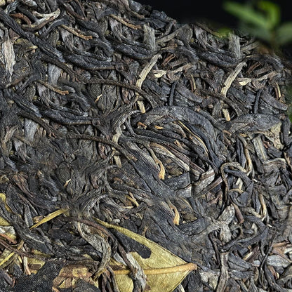 Yunnan Icelandic Lincang Ancient Seven Seeds Cake Pu'er Raw Tea 357g/12.59oz