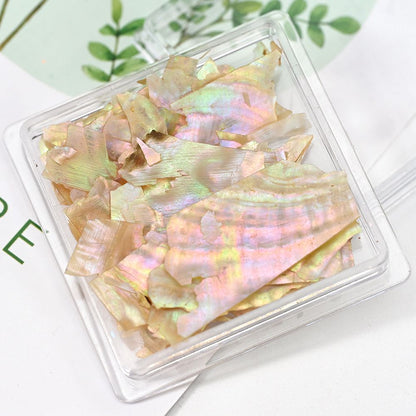 Nail Art Decor 3D Irregular Abalone Natural Sea Shell Stones DIY Accessory 1 Box