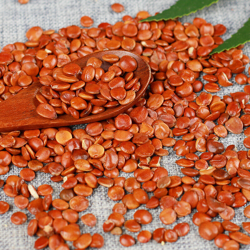 50g /250g Organic Chinese Herbal Tea Featured Sour Jujube Kernels Suanzaoren 酸枣仁
