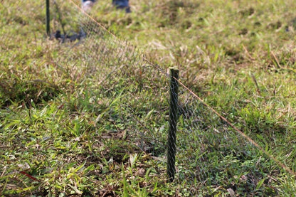20x0.5 Meter New Outdoor Nylon Snake Trap Net Hunting Protection Family