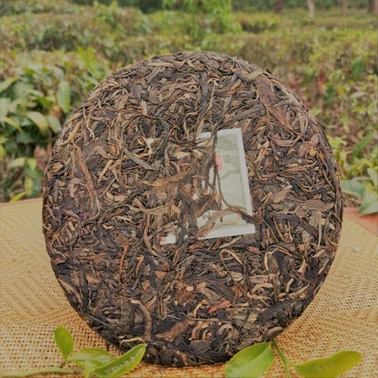 357g/12.59oz Gaoligong Mount Pu'er Tea Green Tea Organic Slimming Aged Tea Cake