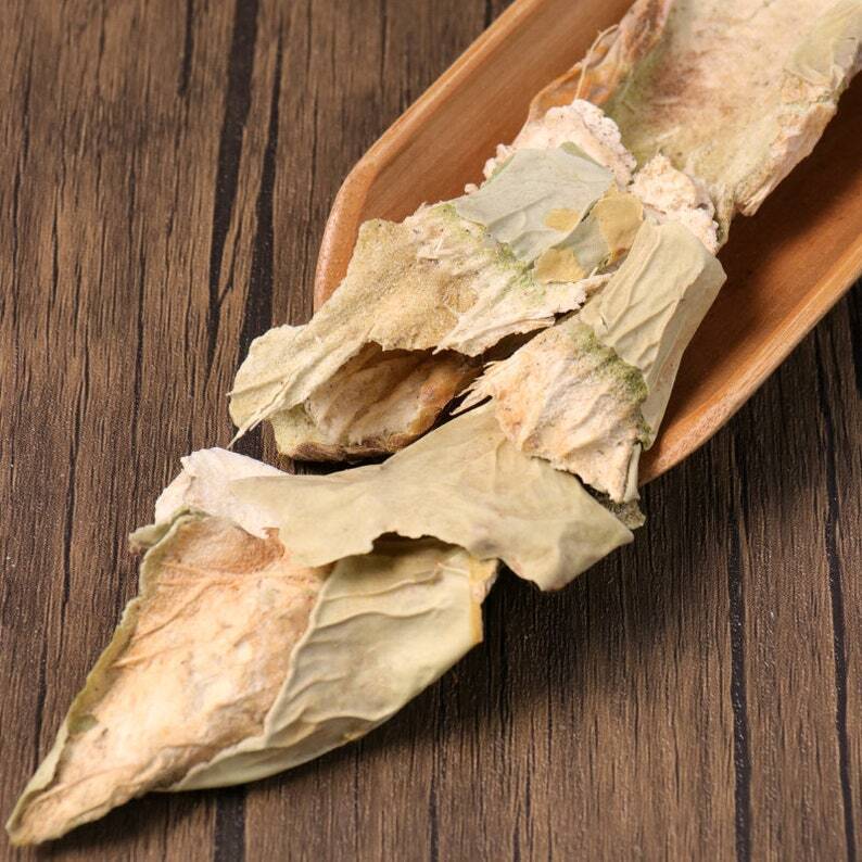 Herbal Radix et Caulis Opuntiae Dillenii Cholla Root and Stem Great Quality