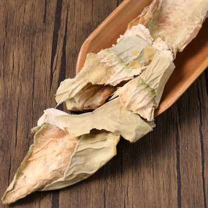 Herbal Radix et Caulis Opuntiae Dillenii Cholla Root and Stem Great Quality
