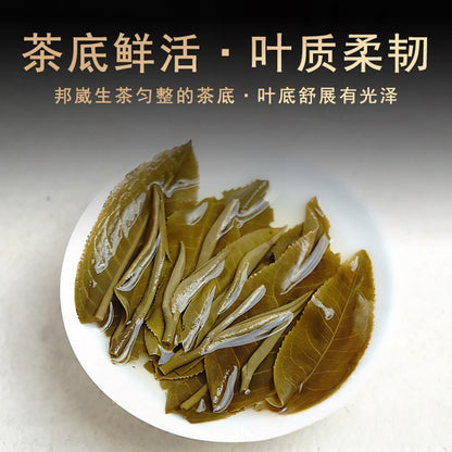 357g Authentic Yunnan Bangwei Ancient Tree Qing Xiang Pu'er Tea Raw Tea Cake
