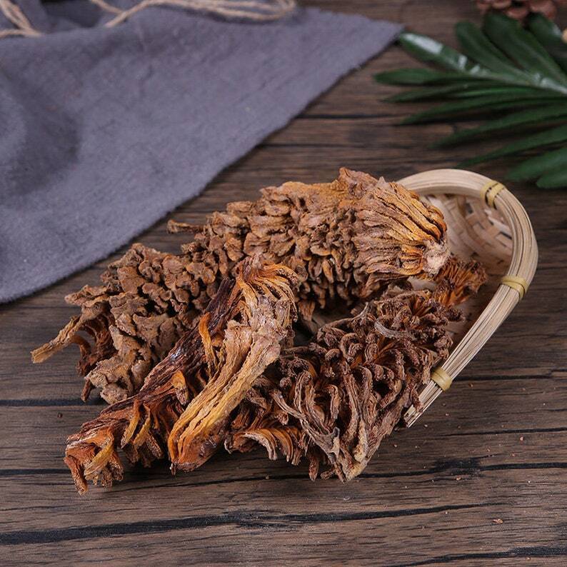 Dried Sago Palm Flower Natural Herbal Cycas Revoluta Tie Shu Hua Top Quality