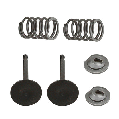 Valve Springs Kit For Honda GX160 GX200 168F 170F 5.5-6.5HP Gasoline Engine