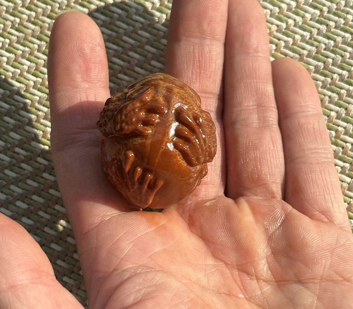 Olive Nut Hand Carved 3 Legged Toad Statue Pendant Chain Bead Decor
