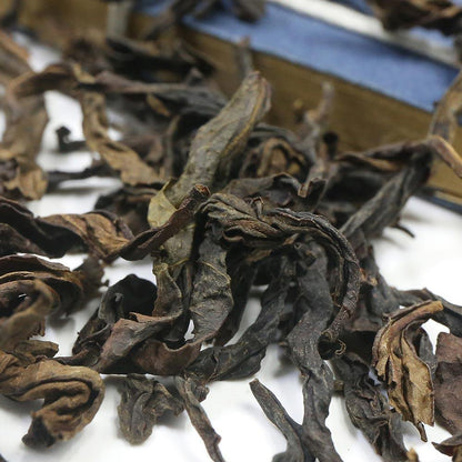 2023 Taiwan GABA Oolong Tea High Mountain Cha Strips Shape GABA Tea