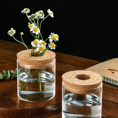 Glass Decorative Vase Hydroponic Glass Bottle Hydroponic Ecological Bottle