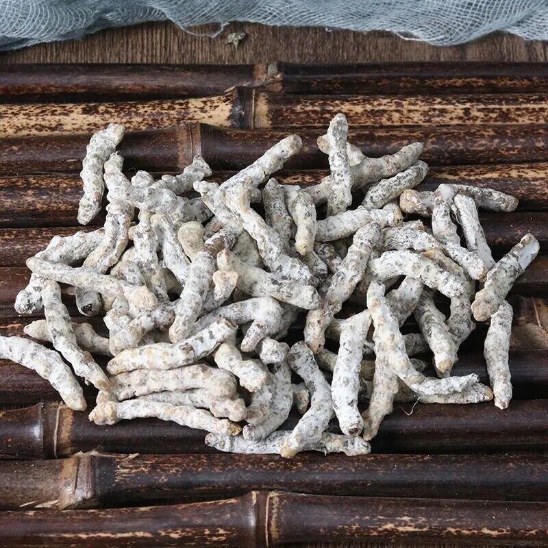 250g / 8.8oz Silkworm Larva (Bombyx Batryticatus / Bombyx Mori)