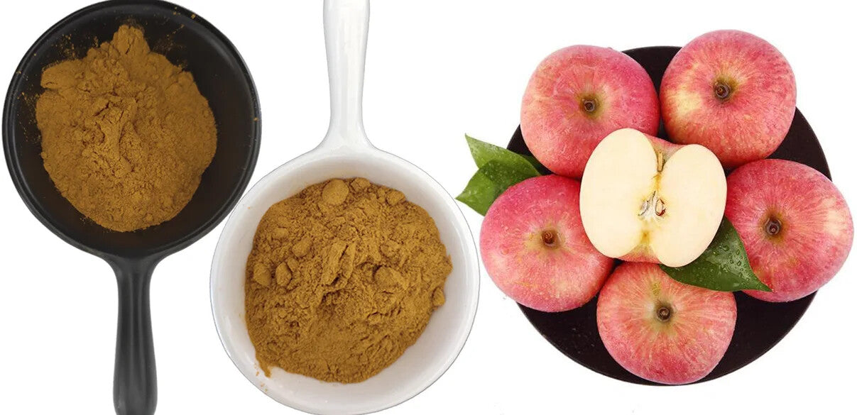 HelloYoung Apple Peel Extract 250g Organic Polyphenol Powder Dietary Supplement