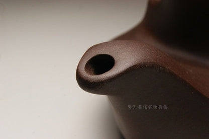 500cc Chinese Yixing Handmade Ti Liang Hu Qu Hu Tea Pot Zisha Teapot Zi Ni