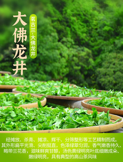Longjing Good Tea Minggulan Brand New Tea Fragrance and Durable Green Tea Canned
