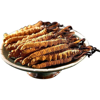Wild Tibetan Aweto Chinese Caterpillar Fungus Cordyceps Sinensis 10 pieces 5g