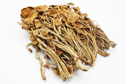 Dried Dehydrated velvet pioppini Cyclocybe aegerita poplar fieldcap mushroom 茶樹菇