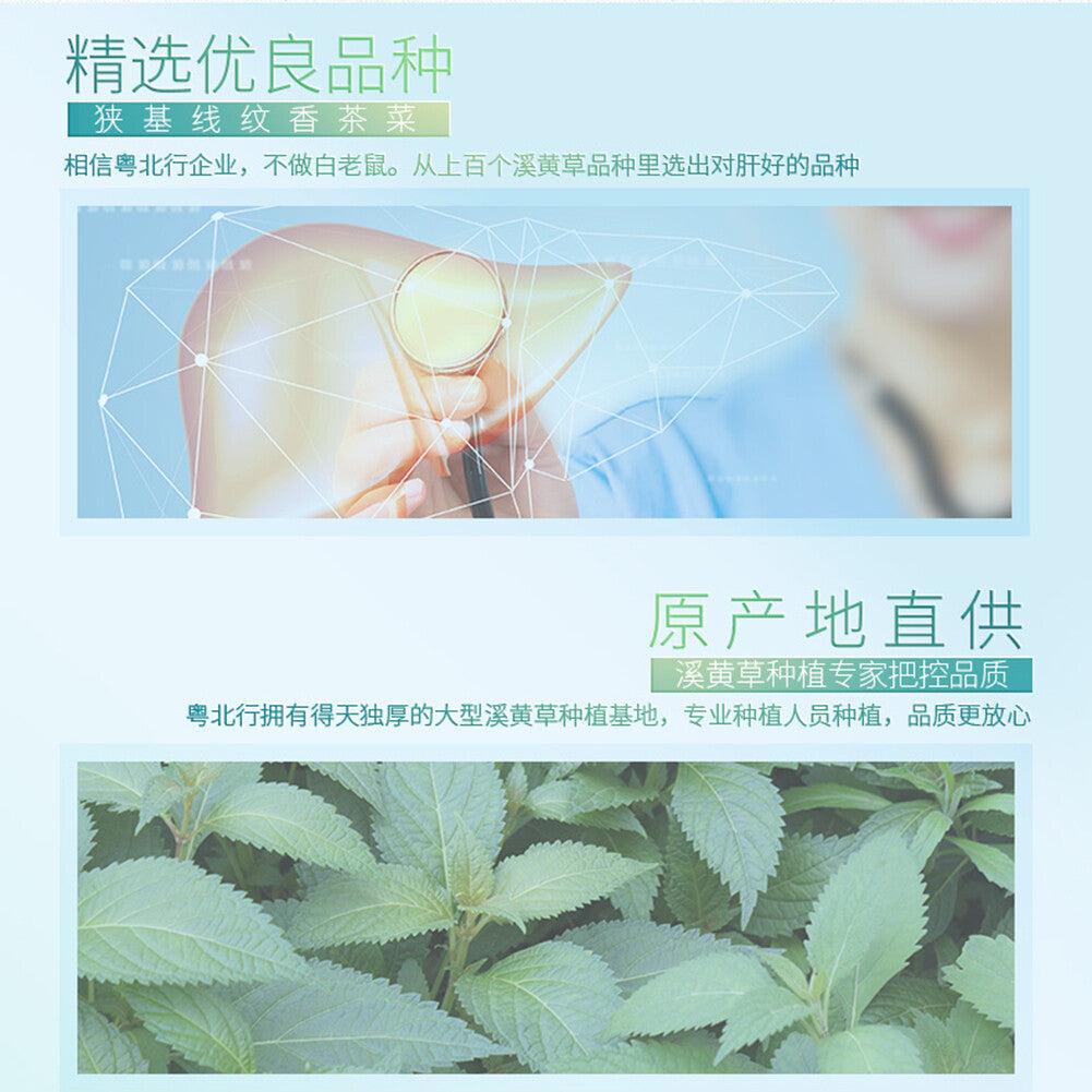 Ecological Chinese Natural Herbal Tea Xi Huang Cao Cha Health Care Hot Sale 200g