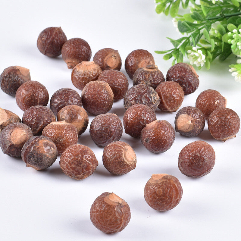 无患子soapberry