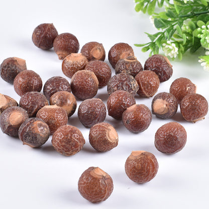 无患子soapberry