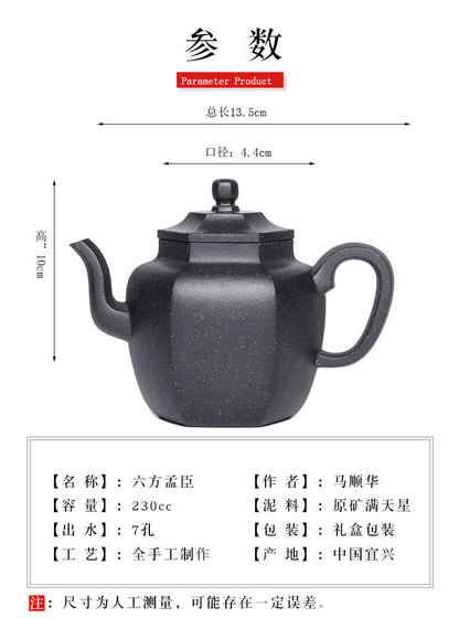 230cc Handmade Purple Sand Tea Pot in Yixing, China Purple Clay Liu Fang Gong Fu Tea Pot-