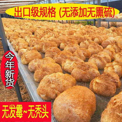 Lion's Mane Mushroom Dried Hericium Erinaceus Natural Chinese Mushroom 500g