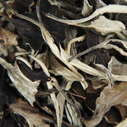 Moonlight White Pu Erh Tea Raw Loose Leaf Yunnan Premium Specialty 500g