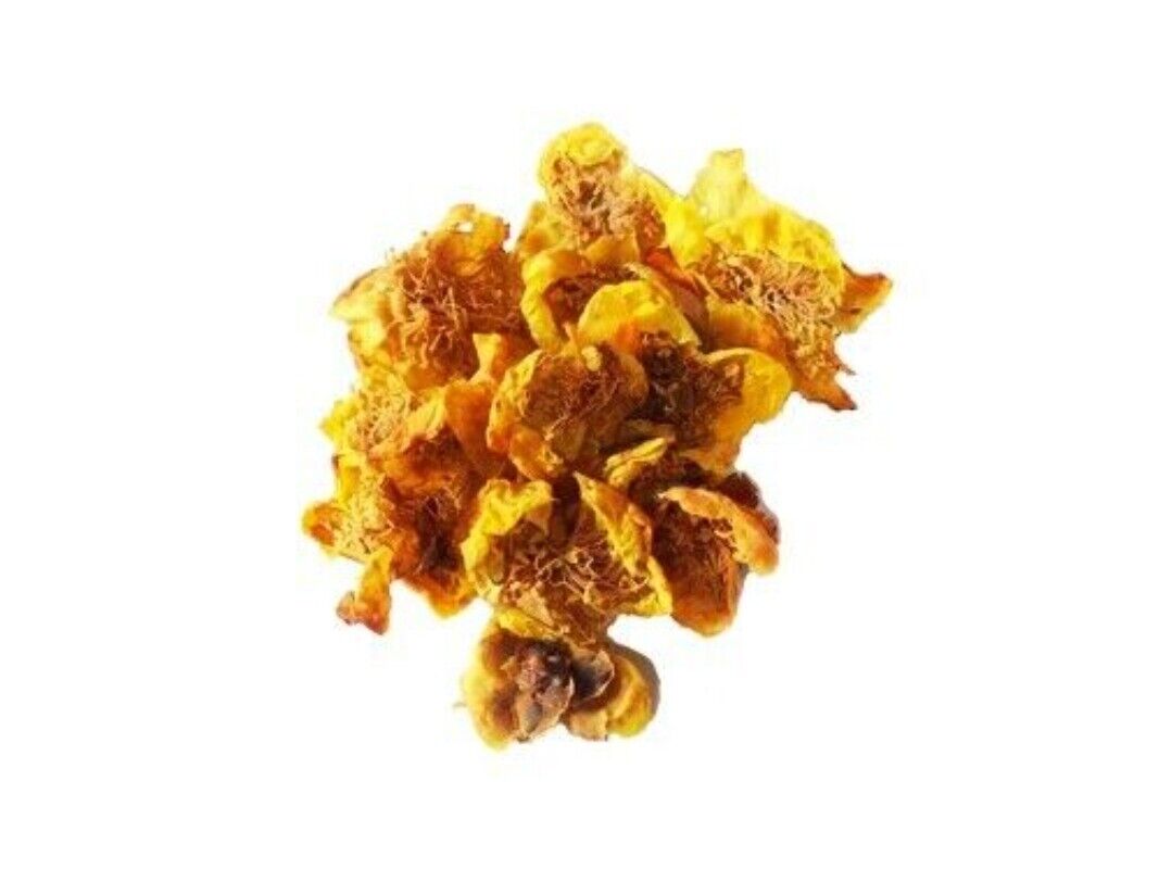 High Quality Dried Golden Camellia Golden Camellia Bloom Tea Flower Tea 500g