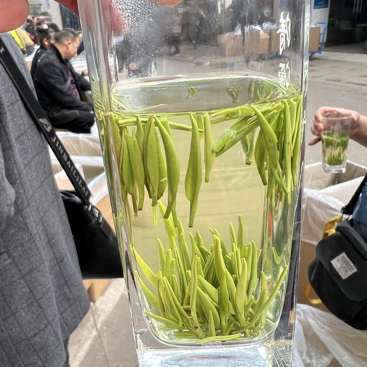 500g High Mount Chinese Green Tea QUE SHE Loose Leaf Sparrow Tongue Tea