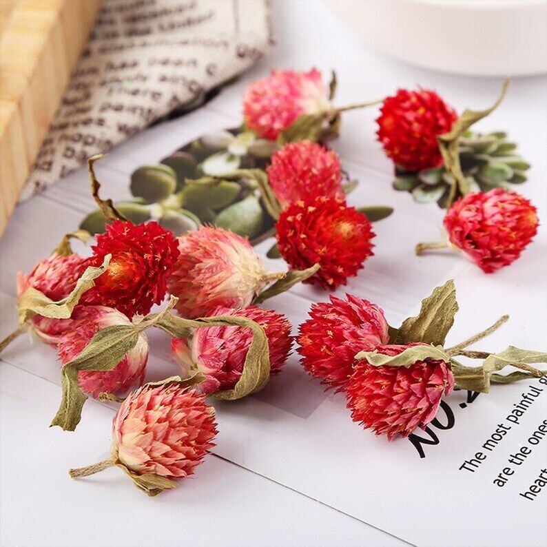 Globe Amaranth Buds Tea,flowers Tea,chinese Flower Tea,bloom Flower 500/1000g