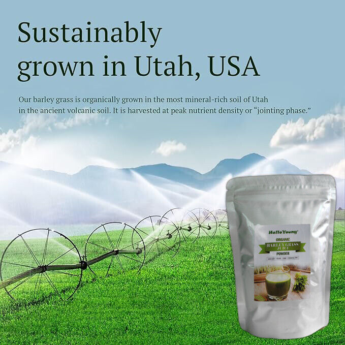 250g Barley Grass Powder Green Tea Pure Organic Certified High Quality Natural