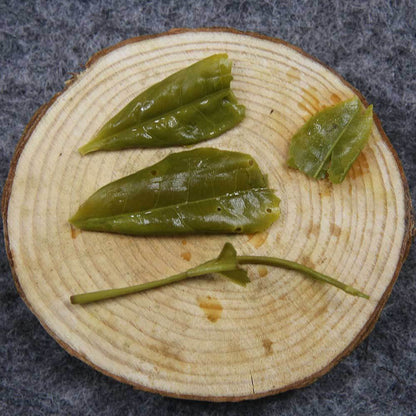 Chinese Green Tea Dragon Well New Spring Organic Tea Longjing
