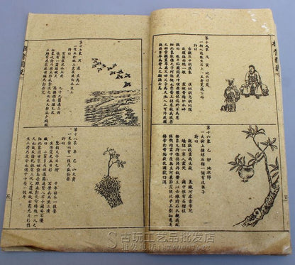 Old Chinese Medical books "Qin Tianjian Pushing Back Map" 2 books set