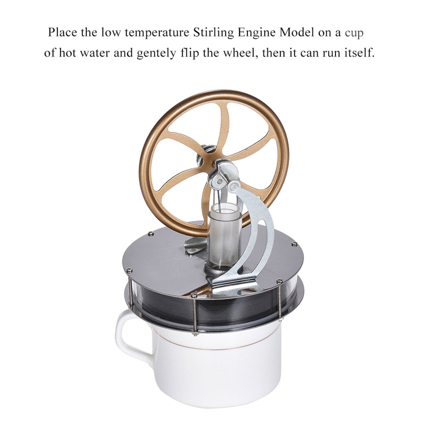 DIY Low Temperature Stirling Engine Motor Steam Heat Model Education Toy