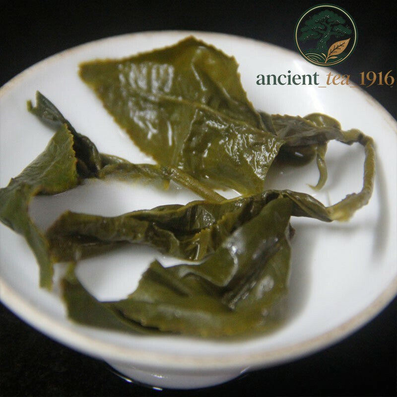 2pc*250g Ali Shan Zhu Lu Dewdrop Tea Taiwan High Mountain Oolong Tea