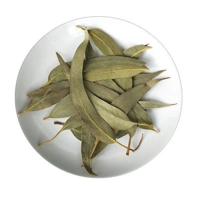 EUCALYPTUS LEAF ORGANIC HERBAL TEA 500g Ausralian globulus Native dried herb