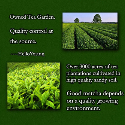 250g Organic Ceremonial Grade Matcha Powder Green Tea Latte Premium Drink