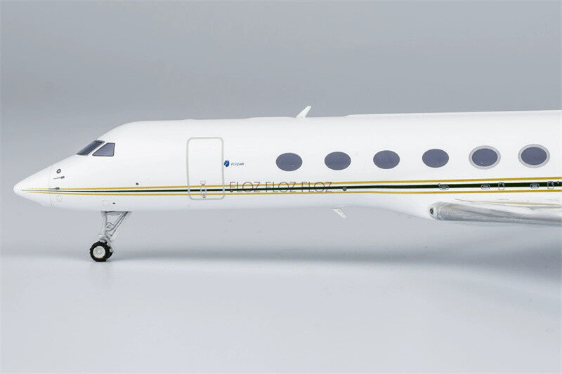 NG Models for Gulfstream G-V business jet LV-IRQ 10 1:200 Plane Pre-built Model