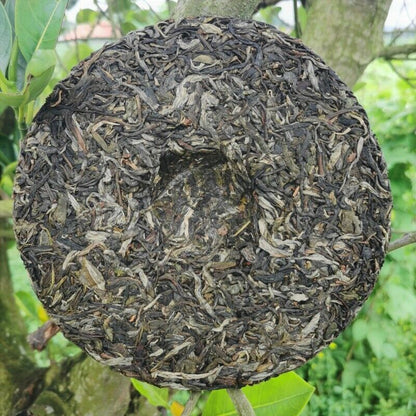 Brown Mountain Old Tree Pu'er Tea 357g Zhonghong India Laobanzhang Cha Tea