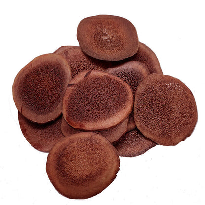 100% Natural Red deer velvet antler slices / Lu Rong Slices Exotic Herb For Men