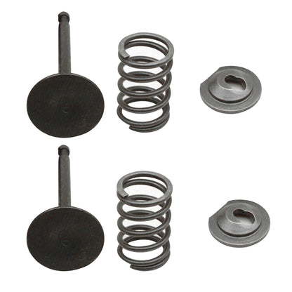 Valve Springs Kit For Honda GX160 GX200 168F 170F 5.5-6.5HP Gasoline Engine