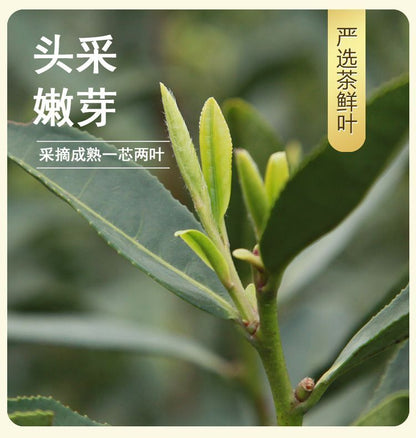 Superfine Xihu Longjing Health Tea Long Jing Dragon Well 125g Gift Pack